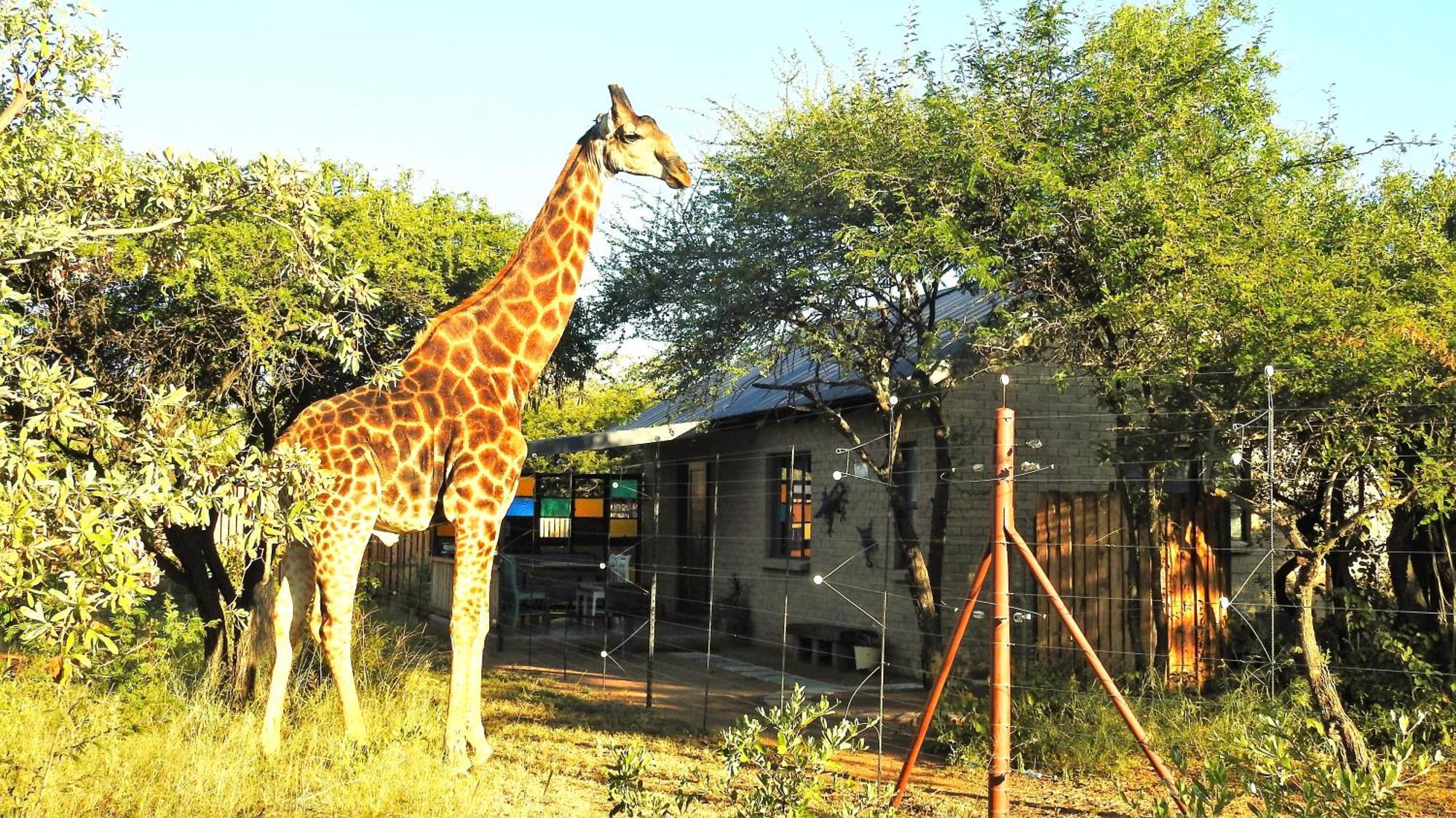 Marulani Bush Lodge Klipdrift Extérieur photo