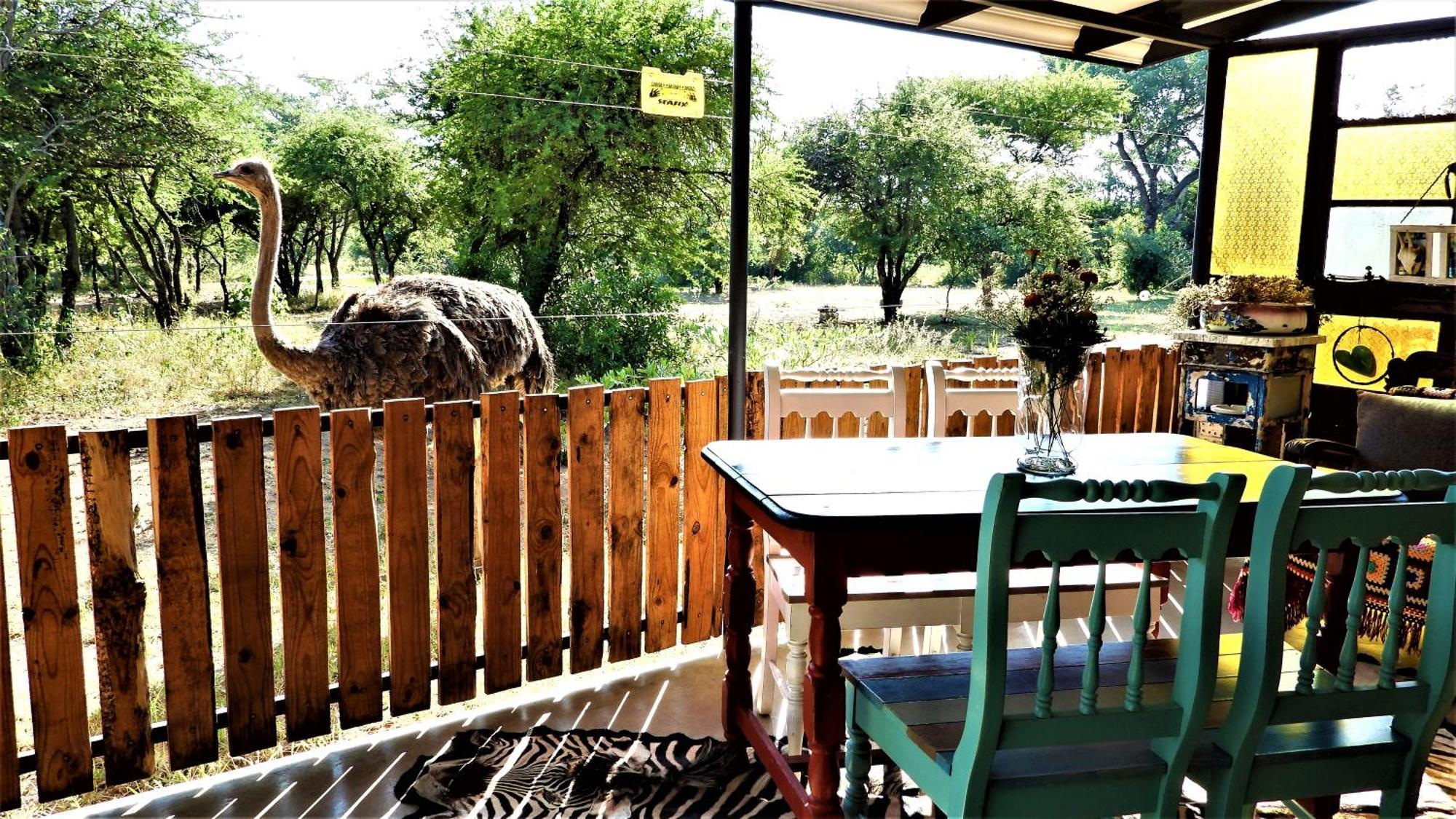 Marulani Bush Lodge Klipdrift Extérieur photo