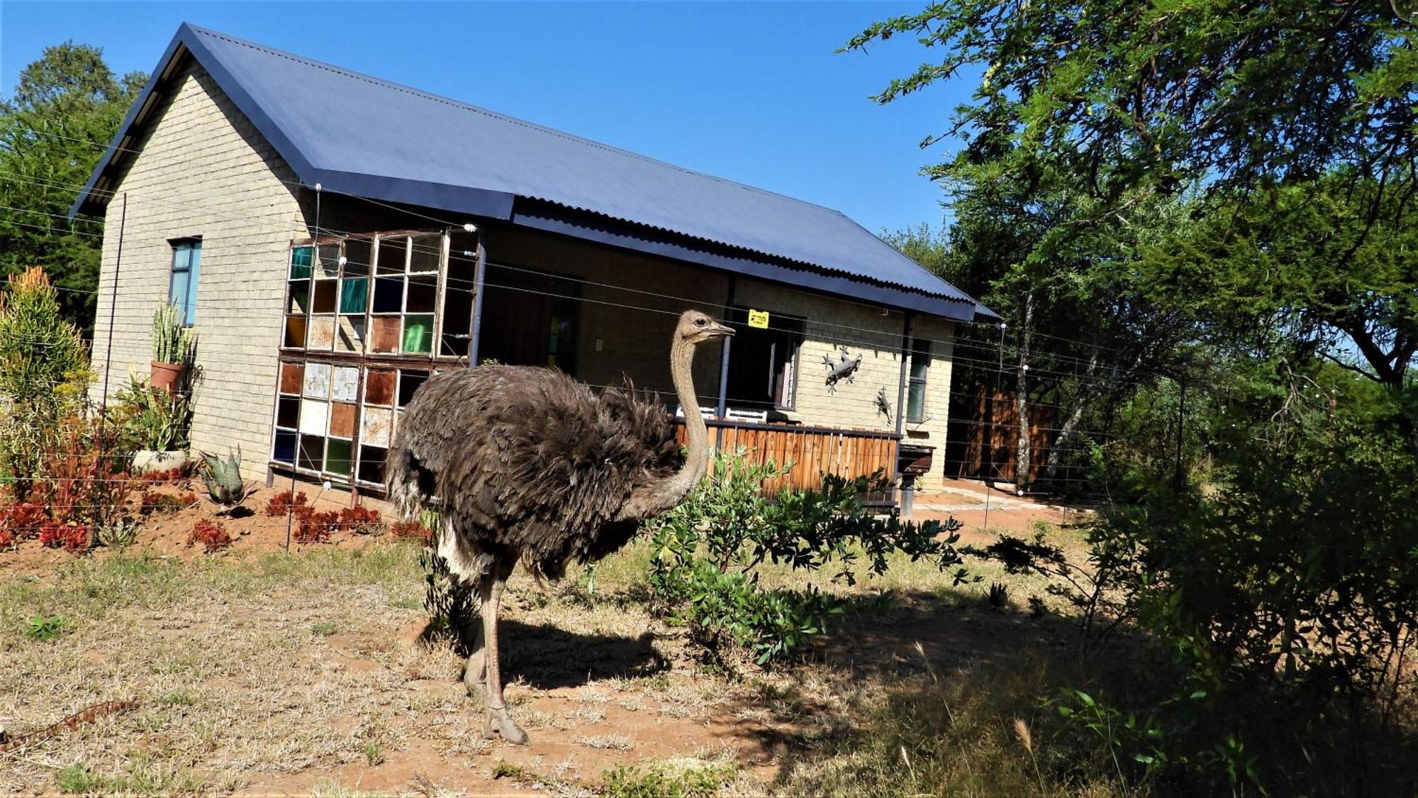 Marulani Bush Lodge Klipdrift Extérieur photo